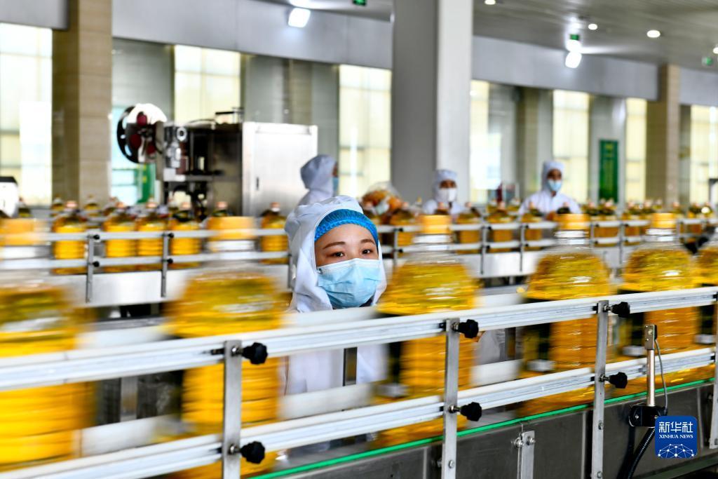 金沙总站网址